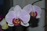     
: DSC_0012.jpg
: 4
:	71.0 
ID:	5712508