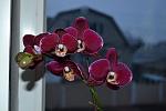     
: DSC_0009.jpg
: 8
:	78.5 
ID:	5712548