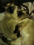     
: IMG_0688.jpg
: 8
:	68.7 
ID:	5714955