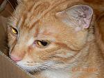     
: DSCN1890.jpg
: 4
:	211.6 
ID:	5715554