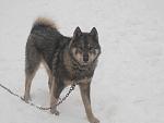     
: DSCN2111.jpg
: 7
:	71.7 
ID:	5716554