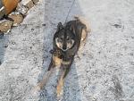     
: DSCN0187.jpg
: 4
:	210.1 
ID:	5716612