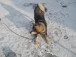     
: DSCN0188.jpg
: 7
:	170.9 
ID:	5716613