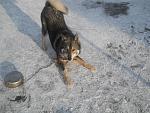     
: DSCN0186.jpg
: 6
:	197.2 
ID:	5716621