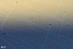     
: orX1VDUeYyA.jpg
: 11
:	57.5 
ID:	5720351