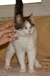     
: слеп15.jpg
: 5
:	89.7 
ID:	5722557