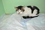     
: DSC_0657.JPG
: 13
:	292.1 
ID:	5723384