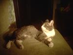     
: IMG_20130218_221301_1.jpg
: 6
:	151.2 
ID:	5725439