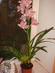     
: DSC03992.jpg
: 6
:	78.9 
ID:	5725841