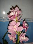     
: DSC03986.jpg
: 7
:	70.3 
ID:	5725843