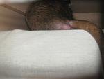     
: IMG_7864.JPG
: 7
:	110.1 
ID:	5733033