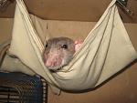     
: IMG_7836.JPG
: 5
:	165.5 
ID:	5733064