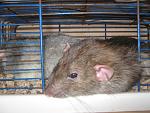     
: IMG_7854.JPG
: 7
:	180.6 
ID:	5733072