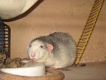     
: IMG_7858.JPG
: 9
:	150.4 
ID:	5733097