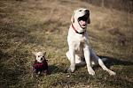     
: cdYRve7loUE.jpg
: 6
:	221.3 
ID:	5734162