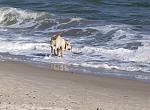     
: 51E34LADF1g.jpg
: 8
:	209.1 
ID:	5734175