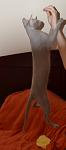     
: DSC_0011a.jpg
: 19
:	33.6 
ID:	5736551