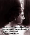     
: mata-hari.jpg
: 7
:	25.0 
ID:	5736912