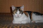     
: SAM_2288.jpg
: 5
:	96.7 
ID:	5739614