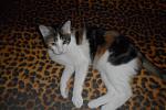    
: SAM_2312.jpg
: 6
:	90.5 
ID:	5739615