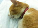     
: image.jpg
: 5
:	121.2 
ID:	5743424