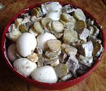     
: olive.jpg
: 6
:	86.1 
ID:	5746652
