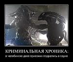     
: tn.jpg
: 12
:	71.4 
ID:	5747604