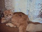     
: DSC01065.JPG
: 30
:	115.5 
ID:	574779