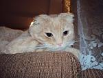     
: DSC01073.JPG
: 25
:	130.6 
ID:	574780