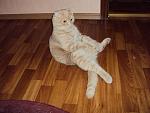     
: DSC01086.JPG
: 35
:	91.3 
ID:	574782