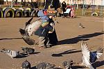     
: IMG_4380_.jpg
: 62
:	142.0 
ID:	57508