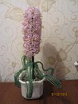    
: IMG_6953.jpg
: 8
:	121.6 
ID:	5751071