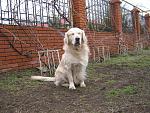     
: IMG_4193.jpg
: 5
:	272.2 
ID:	5755470