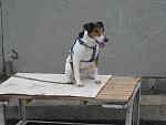     
: IMG_4196.jpg
: 6
:	136.2 
ID:	5755479