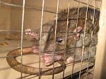     
: IMG_7927.JPG
: 9
:	176.8 
ID:	5755990