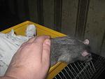     
: IMG_7901.JPG
: 2
:	144.5 
ID:	5756019