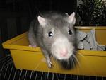     
: IMG_7904.JPG
: 8
:	125.1 
ID:	5756034