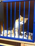     
: фотография (23).jpg
: 6
:	102.6 
ID:	5756406