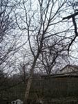     
: 100_5729.jpg
: 22
:	239.3 
ID:	5762584