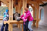     
: DSC_5394.jpg
: 2
:	147.1 
ID:	5762792