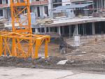     
: IMG_5034.jpg
: 12
:	132.9 
ID:	5764942