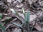     
: IMG_2525.jpg
: 4
:	53.0 
ID:	5765253