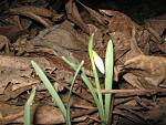     
: IMG_2522.jpg
: 5
:	54.6 
ID:	5765254
