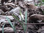     
: IMG_2527.jpg
: 8
:	51.2 
ID:	5765256