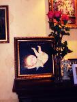     
: IMAG0864.jpg
: 12
:	90.0 
ID:	5769117