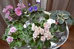     
: DSC_0117.JPG
: 8
:	141.1 
ID:	5770558