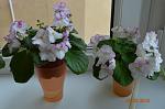     
: DSC_0124.JPG
: 4
:	100.9 
ID:	5770559