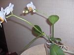     
: непонятное9.jpg
: 2
:	105.6 
ID:	5770786