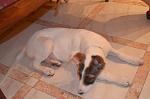     
: DSC_0627.jpg
: 11
:	80.9 
ID:	5773575