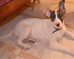     
: DSC_0628.jpg
: 10
:	82.2 
ID:	5773576